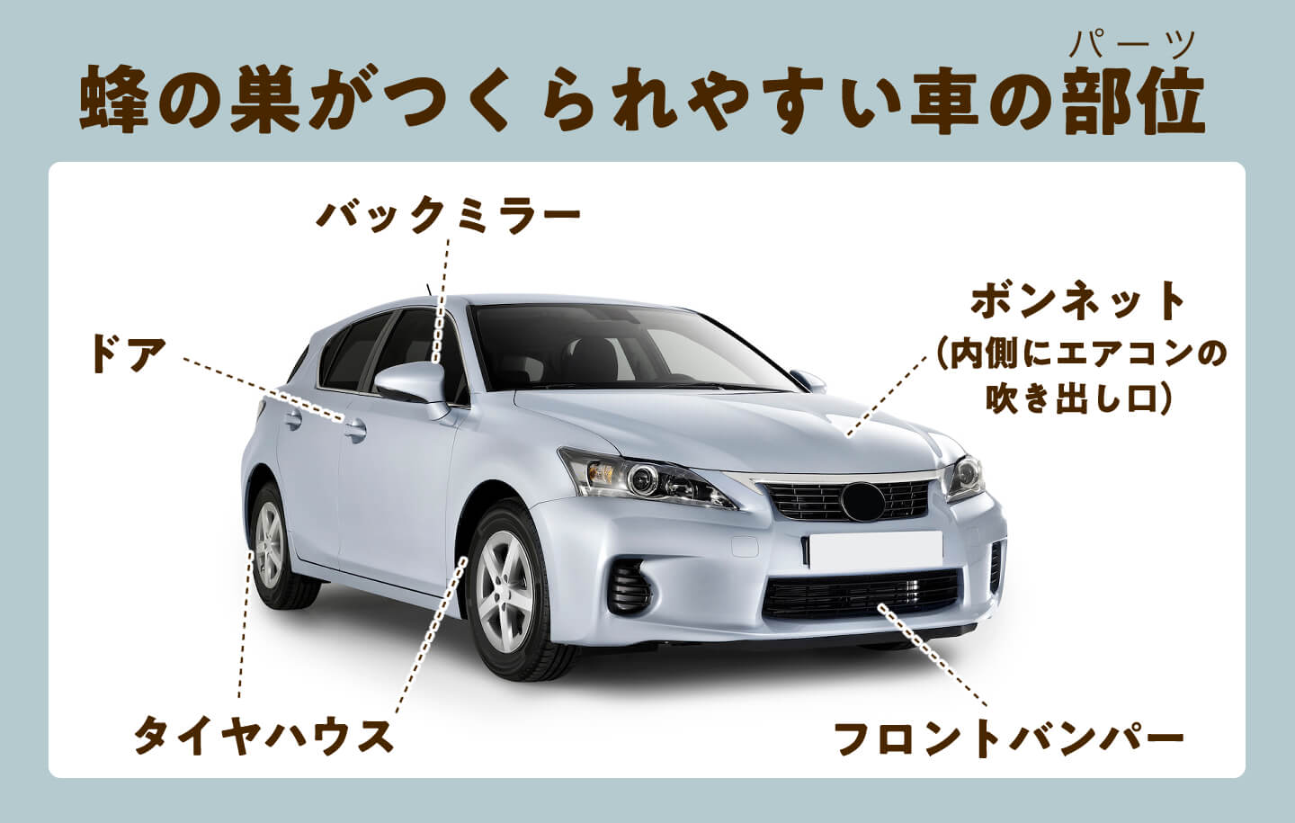 蜂の巣がつくられやすい車の部位