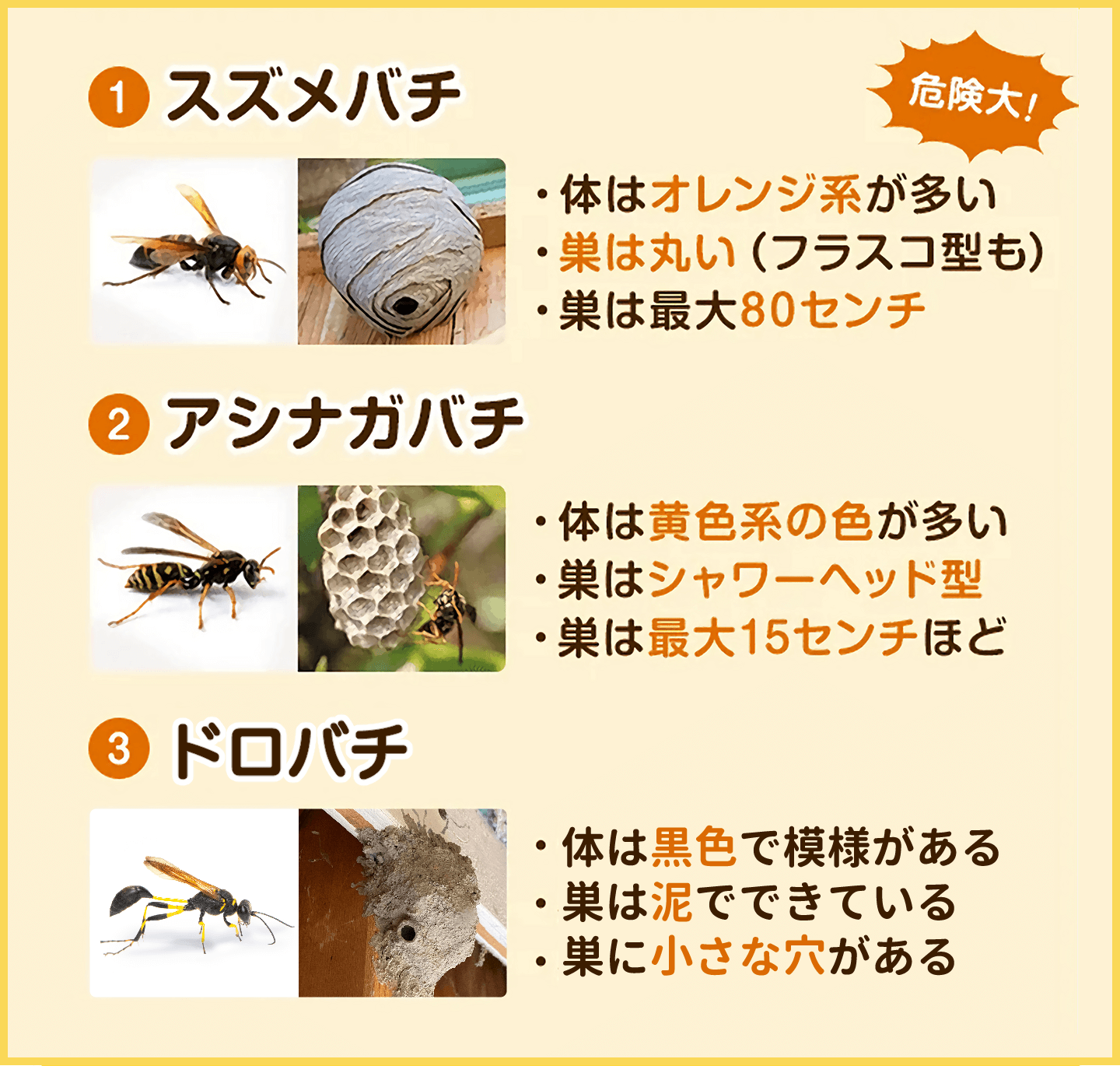 スズメバチ、アシナガバチ、ドロバチの巣の見分け方