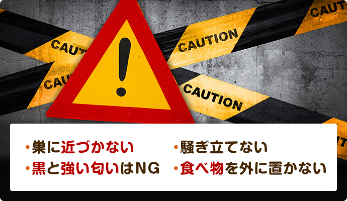 巣に近づかない、黒や強い匂いはNG、騒ぎ立てない、食べ物を外に置かない。