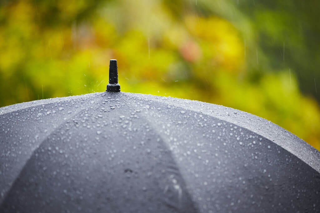 傘に雨粒