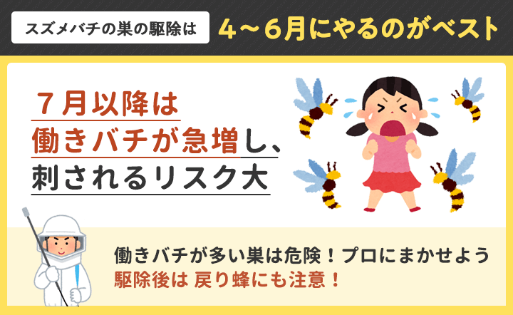 ７月以降は働きバチが急増し、刺されるリスク大