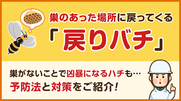 ハチの巣を駆除した後、戻ってくるハチがいます。対策法はありますか？