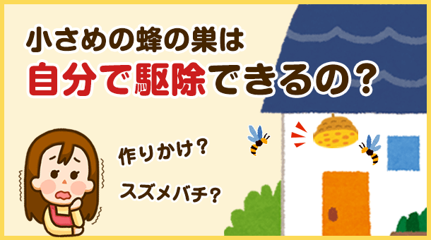 小さめの蜂の巣なら、自分で安全に駆除できるって本当？