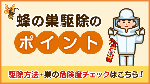 蜂の巣を自分で安全に駆除する方法｜プロが教えるコツ、準備物、手順