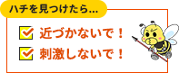 ハチを見つけたら近づかない、刺激しない