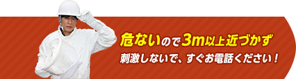 危ないので2m以上近づかず刺激しないで、すぐお電話ください。