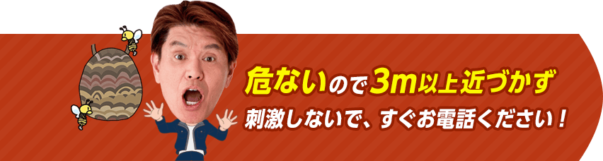 危ないので2m以上近づかず刺激しないで、すぐお電話ください。