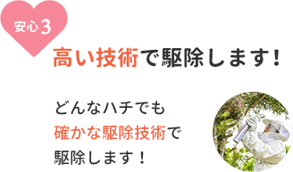 安心3、高い技術で駆除します。どんなハチでも確かな駆除技術で駆除します