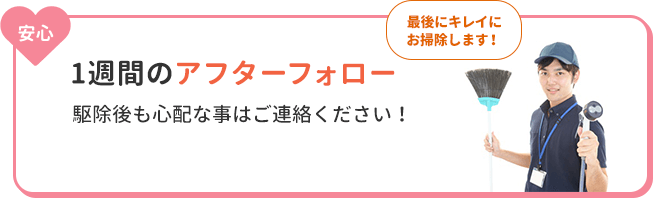 1週間のアフターフォローつき。駆除後も心配な事はご連絡ください