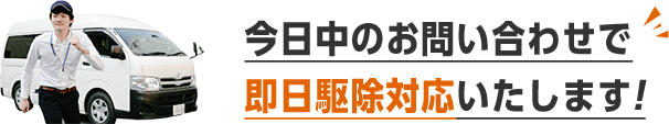 今日中のお問い合わせで即日駆除対応いたします