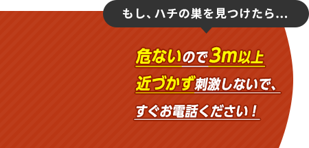 危ないので3m以上近づかず刺激しないで、すぐお電話ください