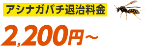 アシナガバチ退治料金2,200円から