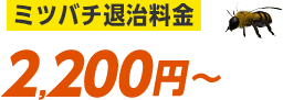 ミツバチ退治料金2,200円から