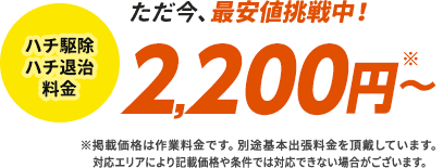 ハチ駆除・ハチ退治料金2,200円から。掲載価格は作業料金です。別途基本出張料金を頂戴しています。