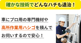 確かな技術力でどんなハチも退治。車にプロ用の専門機材や高所作業用ハシゴを積んでお伺いするので安心