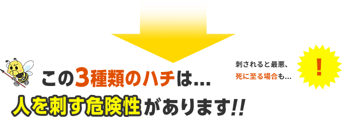 この3種類のハチは人を刺す危険性があります。刺されると最悪、死に至る場合も。