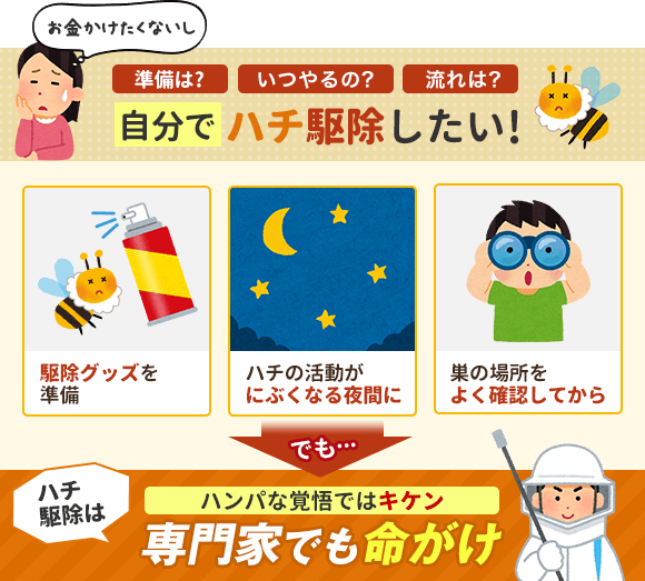 準備は？いつやるの？流れは？自力でハチを駆除したい。でもハチ駆除は専門家でも命がけです。