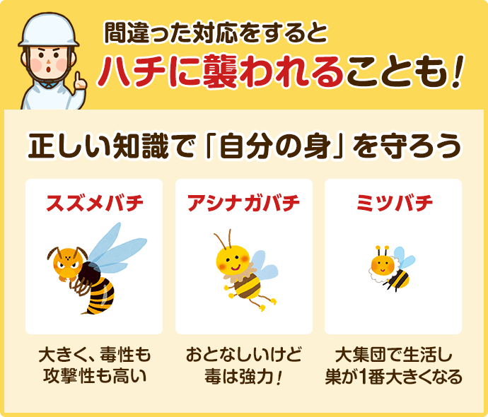 間違った対応をするとハチに襲われる事も!! 正しい知識で「自分の身」を守ろう!!