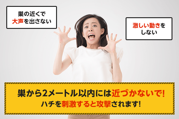 巣の近くで大声を出さない、激しい動きをしない。巣から2メートル以内には近づかないで