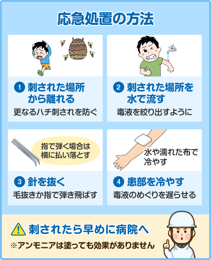 応急処置の方法。刺された場所から離れる。刺された場所を水で流す。針を抜く。患部を冷やす。