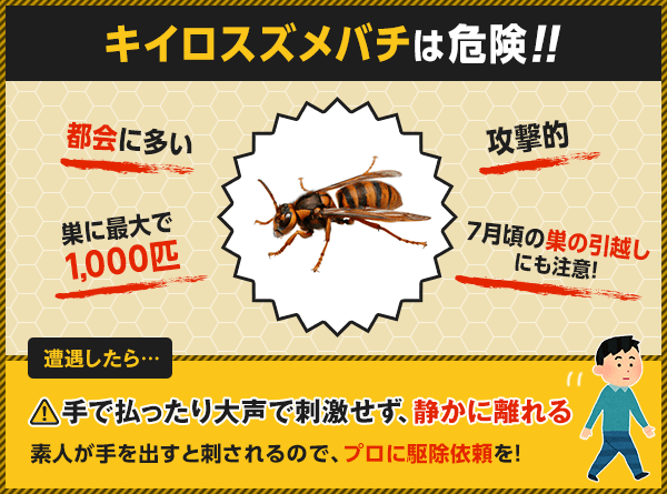 キイロスズメバチは危険。遭遇したら手で払ったり大声で刺激せず、静かに離れましょう。